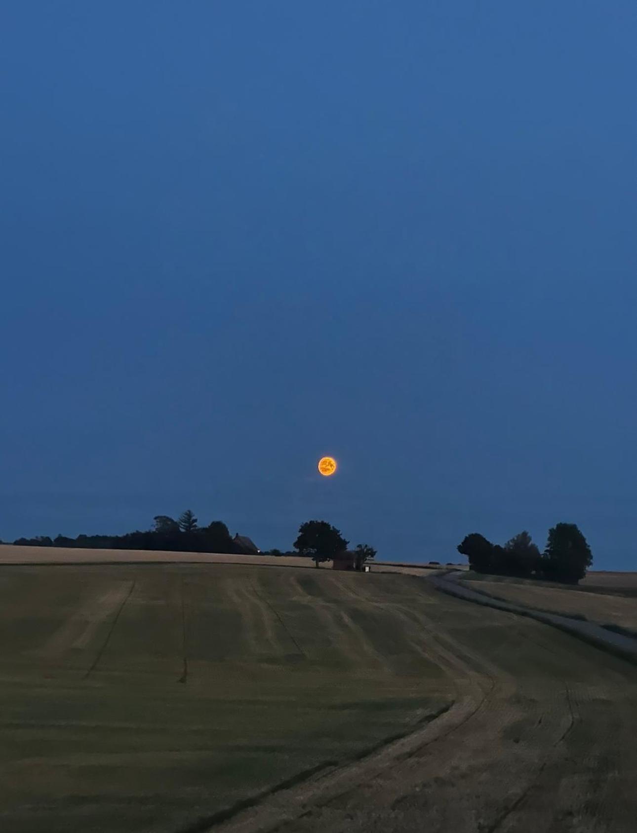 Gaesthus I Naturskoent Laege Genarp Exteriér fotografie